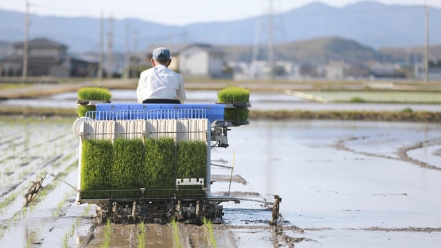 流し込み　肥料